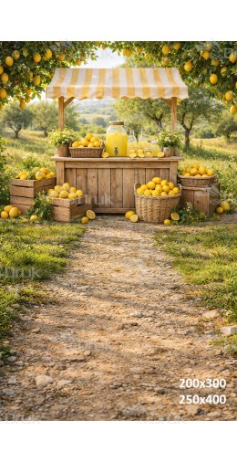 Tło fotograficzne „Rustykalny stragan z lemoniadą w sadzie” | 4010